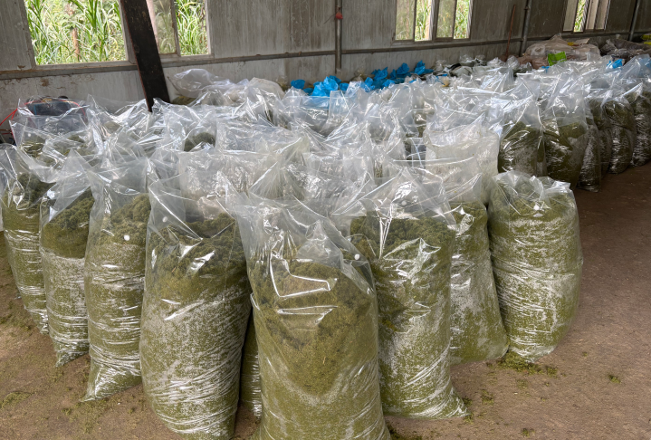 發酵牧草4.png 發酵牧草4.png