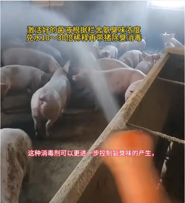 豬場除臭1.png 豬場除臭1.png