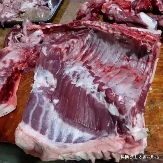 養豬場4.png 養豬場4.png