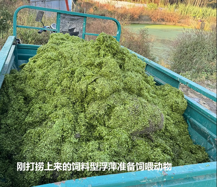 17313645466259397.jpg 17313645466259397.jpg