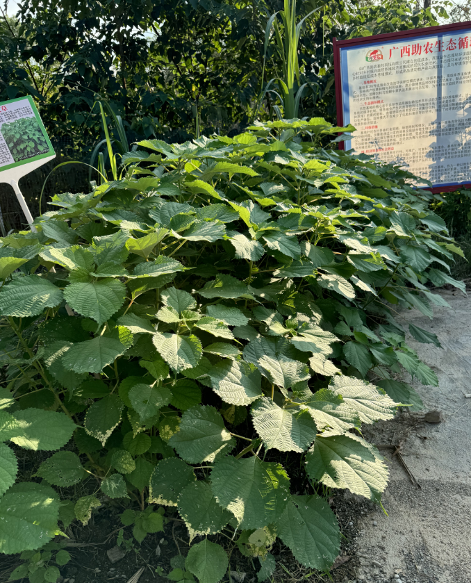 17252597553010740.png 17252597553010740.png