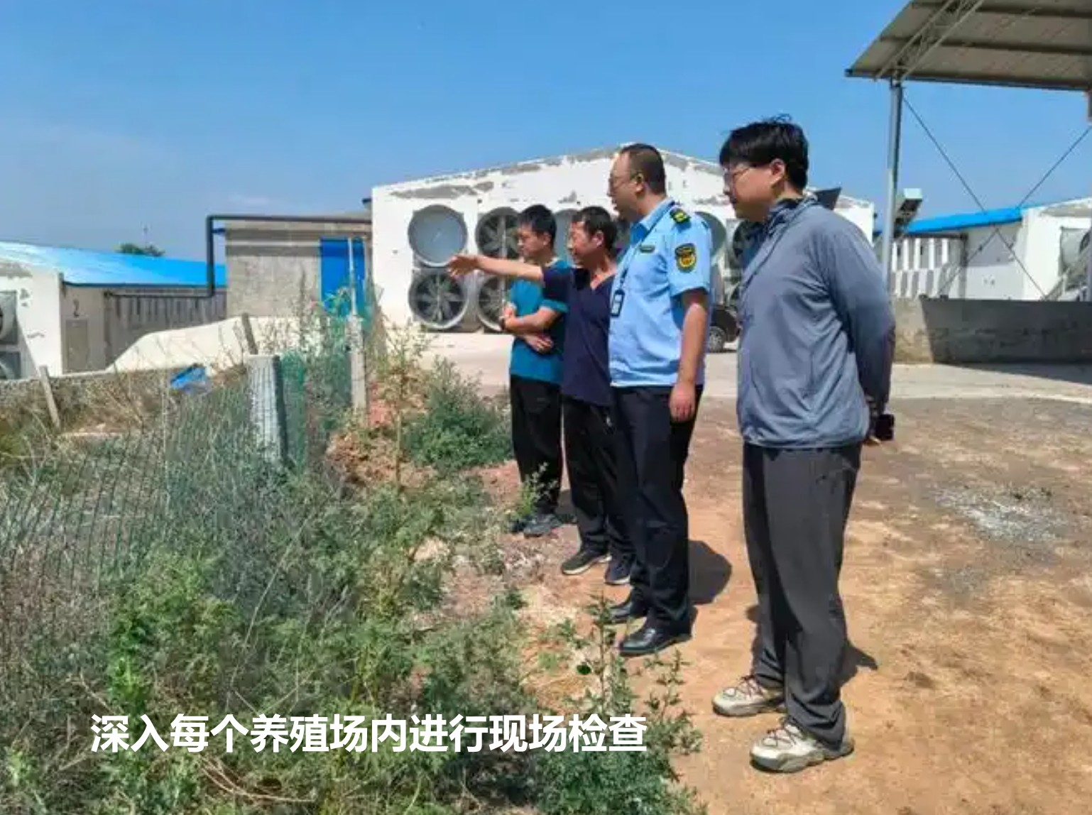 深入每個養殖場內進行現場檢查.jpg