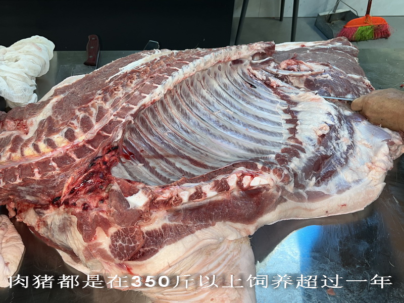 肉豬都是在350斤以上飼養(yǎng)超過(guò)一年.jpg