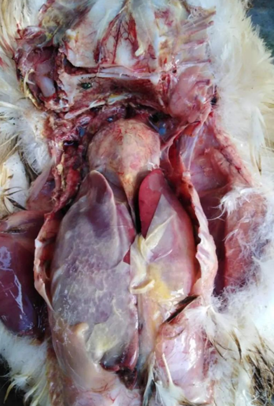 0B01DB6E389CDE98E129D105F823E76D.png 0B01DB6E389CDE98E129D105F823E76D.png