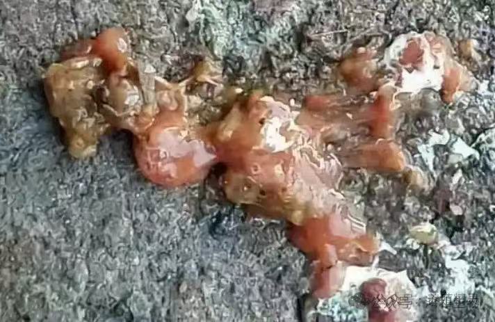 7ced3d17310010581da1b411b1acd6d.jpg 7ced3d17310010581da1b411b1acd6d.jpg