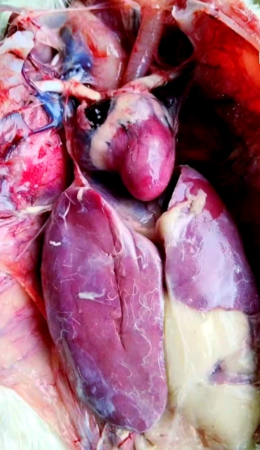 微信截圖_20250808092523.jpg 微信截圖_20250808092523.jpg