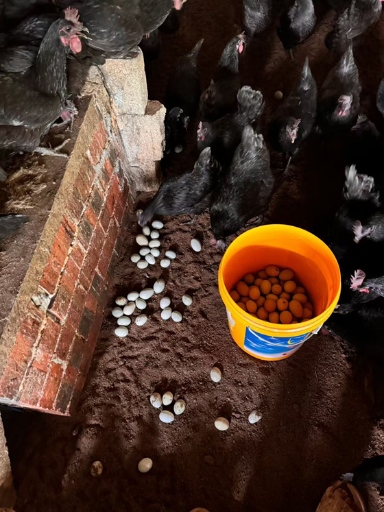 3DD512DF1CF2F38757E912D88660B14C.png 3DD512DF1CF2F38757E912D88660B14C.png