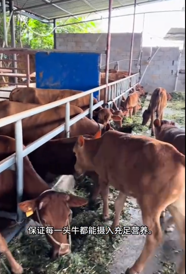 截圖20250820091049.png 截圖20250820091049.png