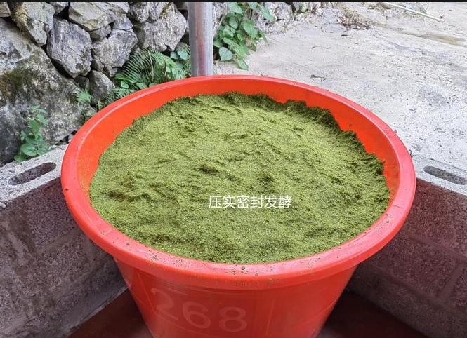 截圖20250820091357.png 截圖20250820091357.png