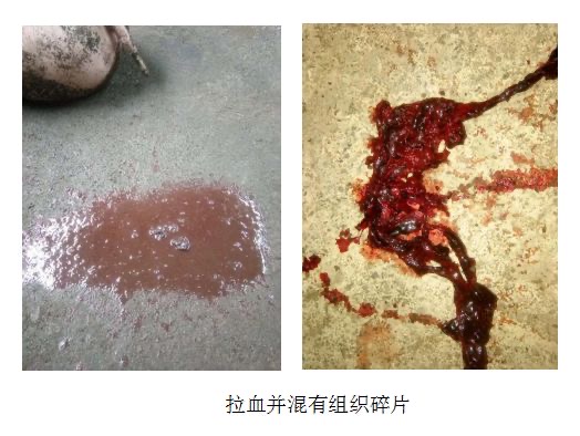 微信圖片_20250820090726.jpg 微信圖片_20250820090726.jpg