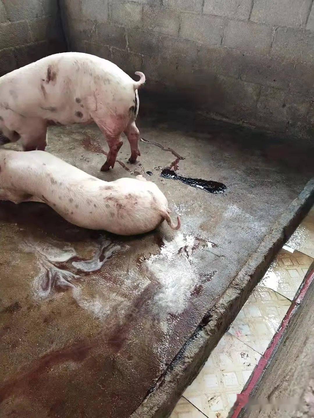 微信圖片_20250820090720.jpg 微信圖片_20250820090720.jpg