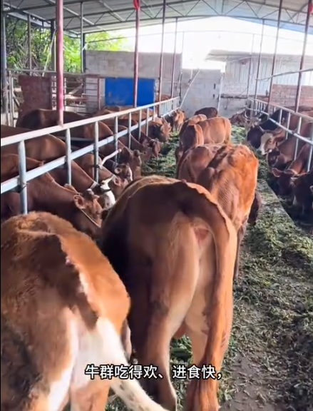 截圖20250820091858.png 截圖20250820091858.png