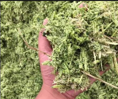 截圖20250820092135.png 截圖20250820092135.png