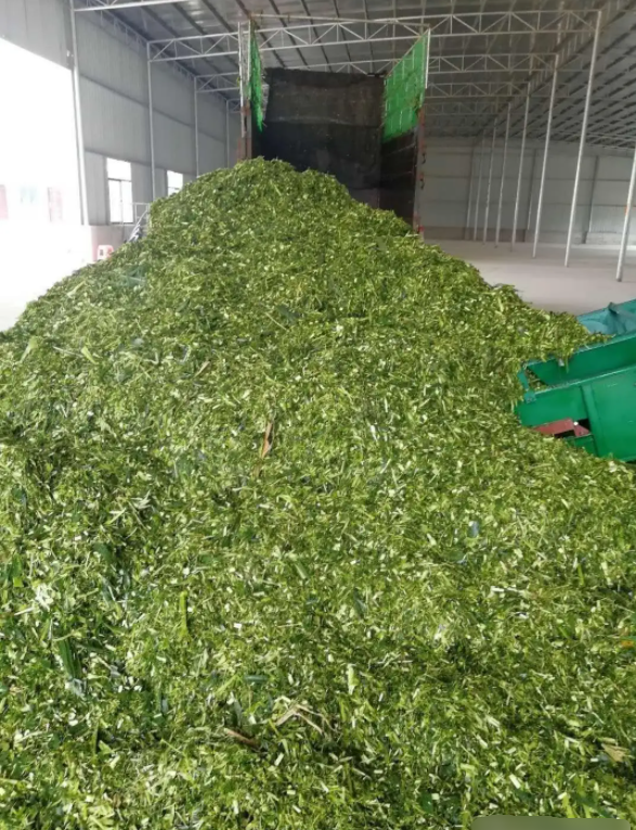 QQ圖片20240113151811.png QQ圖片20240113151811.png