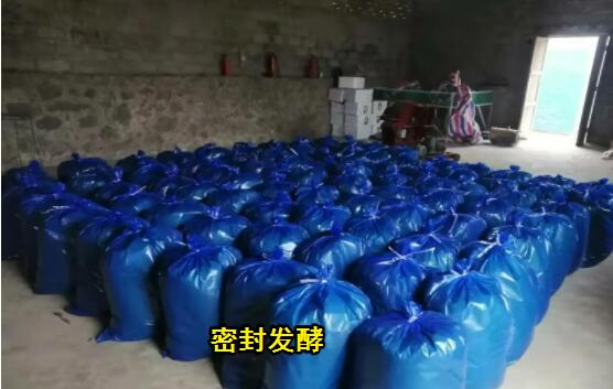 QQ圖片20240615124010.jpg QQ圖片20240615124010.jpg