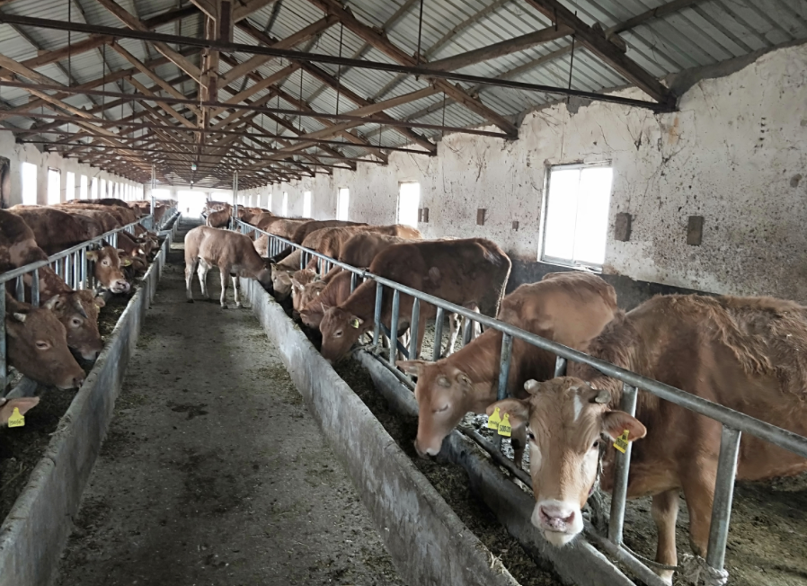 QQ圖片20240109094249.png QQ圖片20240109094249.png