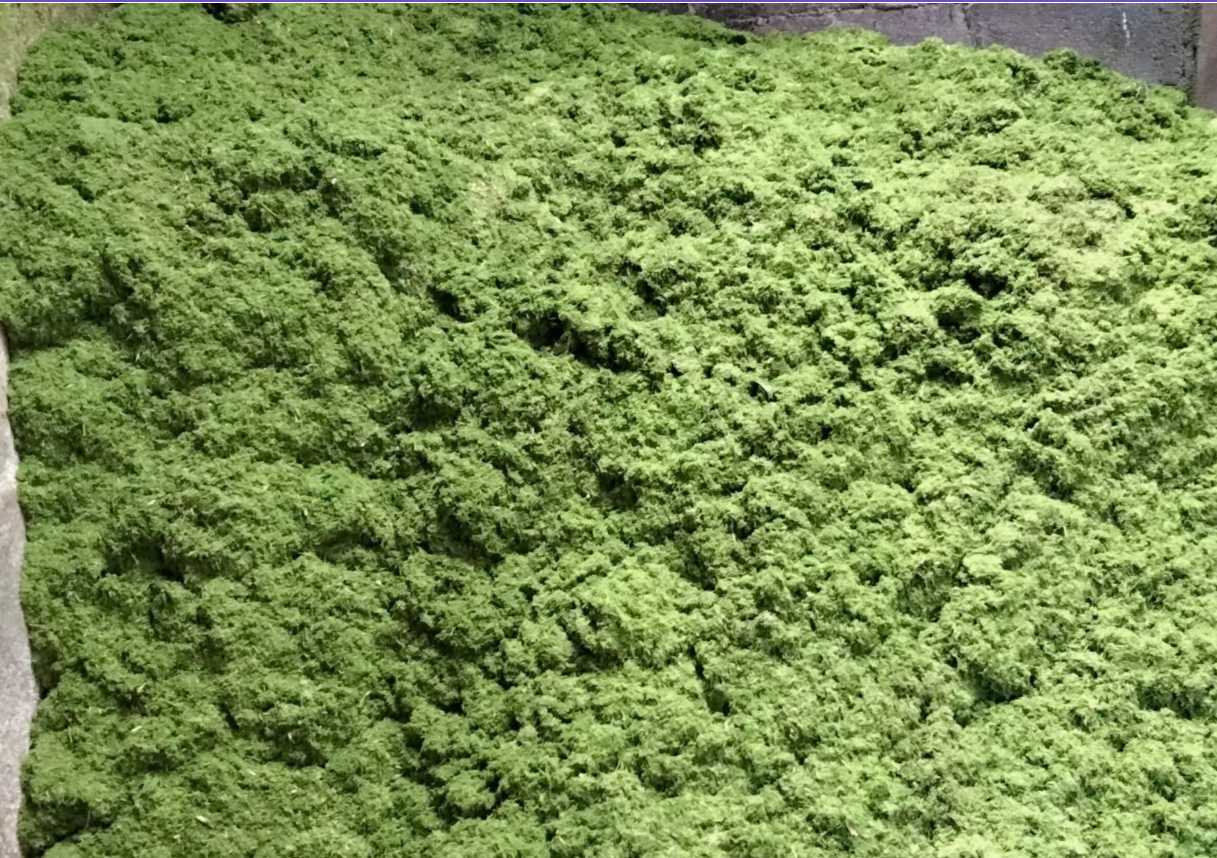 QQ圖片20250825124159.png QQ圖片20250825124159.png