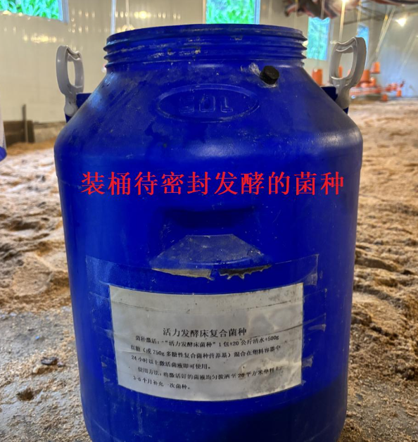 17352318649959456.png 17352318649959456.png