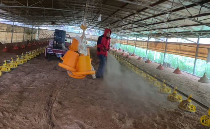 QQ圖片20250226124412.png QQ圖片20250226124412.png