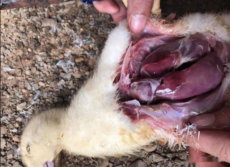 截圖20250901094629.png 截圖20250901094629.png