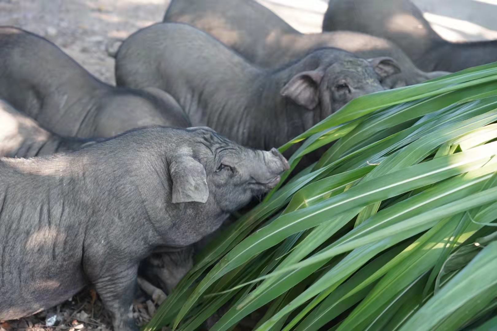 微信圖片_20231013160242.jpg 微信圖片_20231013160242.jpg