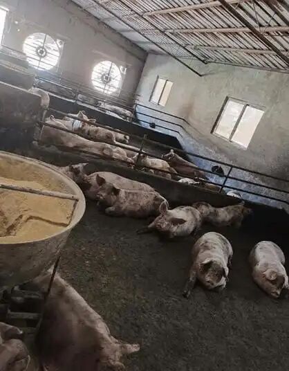 2ac2c32338132fb2af1fae79a50ec671.jpg 2ac2c32338132fb2af1fae79a50ec671.jpg