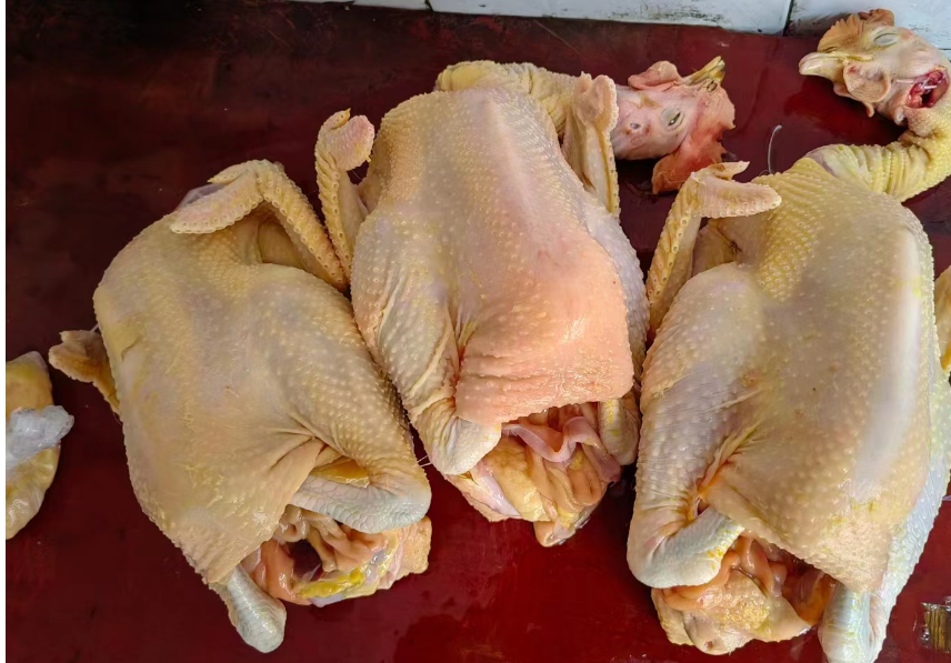 QQ圖片20250819112552.png QQ圖片20250819112552.png