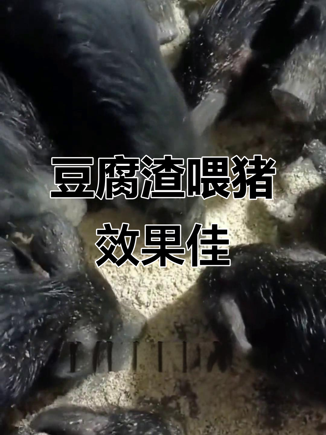 380a0baccd94d404ef08de39772e981f.png 380a0baccd94d404ef08de39772e981f.png