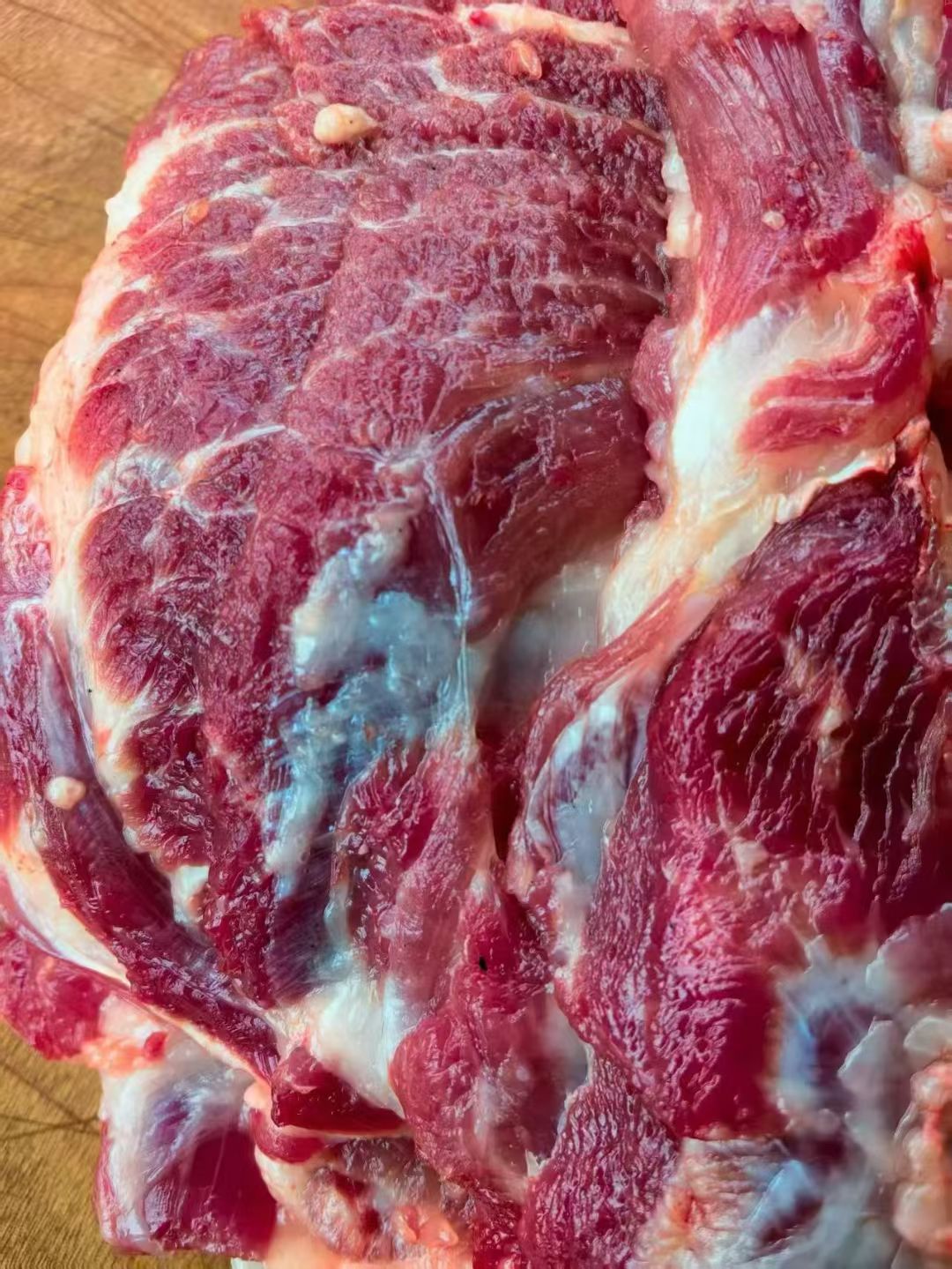 16c17e4616b51e1aaf96831a1950ad98.jpg 16c17e4616b51e1aaf96831a1950ad98.jpg