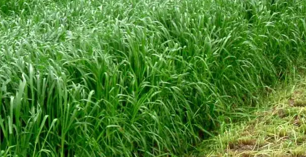 1670569726154139.png 1670569726154139.png