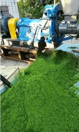 QQ圖片20250904115149.jpg QQ圖片20250904115149.jpg