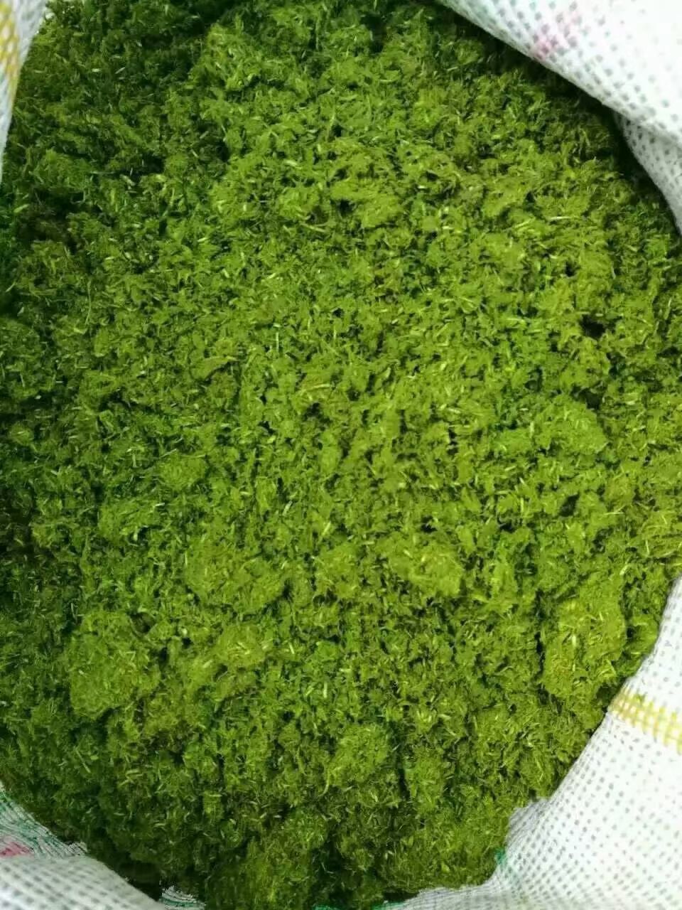 QQ圖片20250904115144.jpg QQ圖片20250904115144.jpg