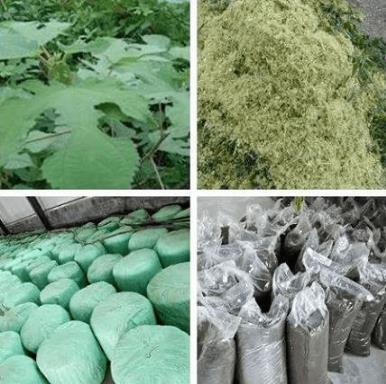 QQ圖片20250904115209.jpg QQ圖片20250904115209.jpg