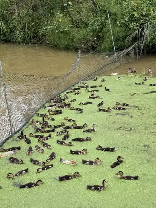 52fc0bf918ab48a4d6081232a5b83963.jpg 52fc0bf918ab48a4d6081232a5b83963.jpg