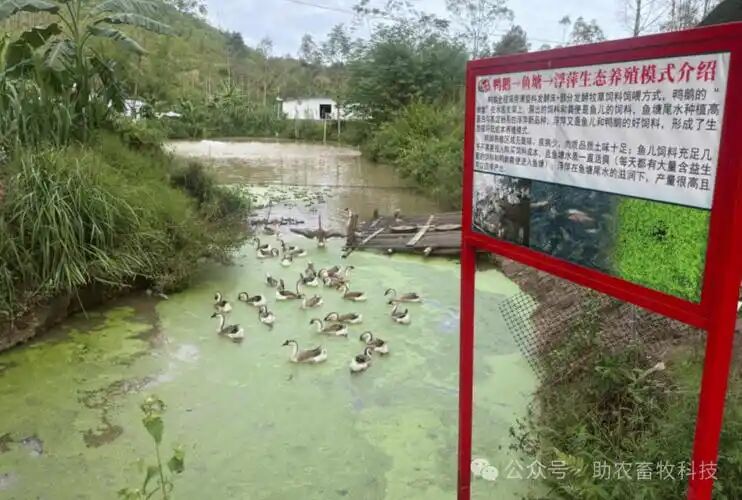 bbabe57b459d50d6352b80aa608d530d.jpg bbabe57b459d50d6352b80aa608d530d.jpg