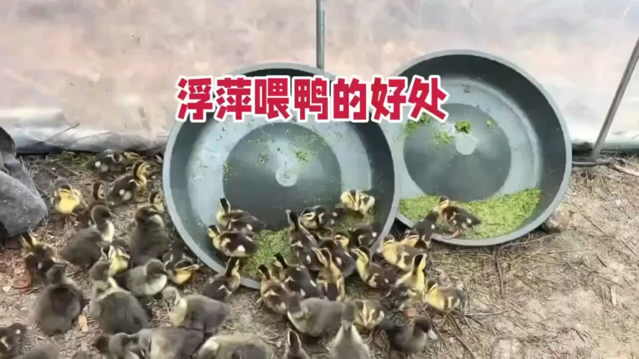 eb3a045406ba300b54d02e2864dbd267.jpg eb3a045406ba300b54d02e2864dbd267.jpg