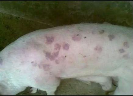 c536279a-3b33-40d5-b826-5469113933c2.png c536279a-3b33-40d5-b826-5469113933c2.png