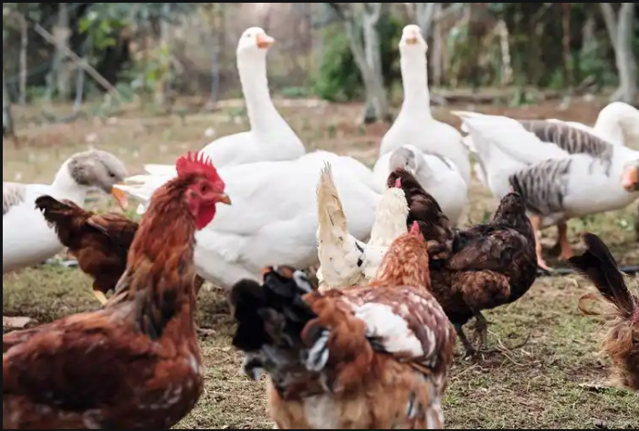 6bb925c6-4ac0-4094-ae41-315d3c9abef9.png 6bb925c6-4ac0-4094-ae41-315d3c9abef9.png