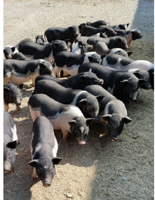 微信圖片_20230607153215.png 微信圖片_20230607153215.png