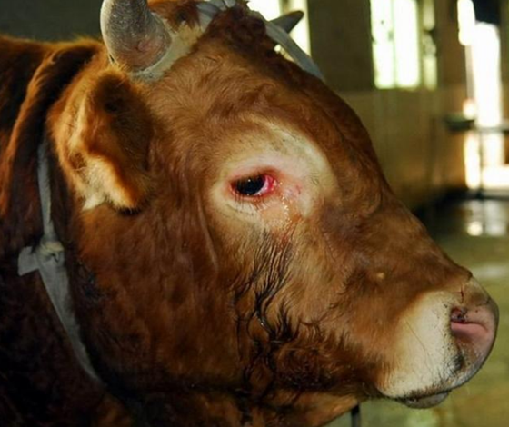 EA4C40D7CD395D6058C7D4623A017AA3.png EA4C40D7CD395D6058C7D4623A017AA3.png