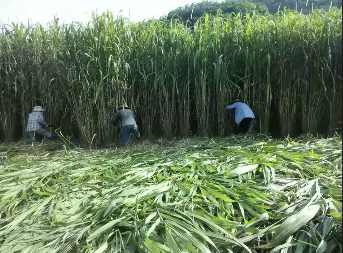 b701299fe7aa810f5d414c8748e1dd5.png b701299fe7aa810f5d414c8748e1dd5.png