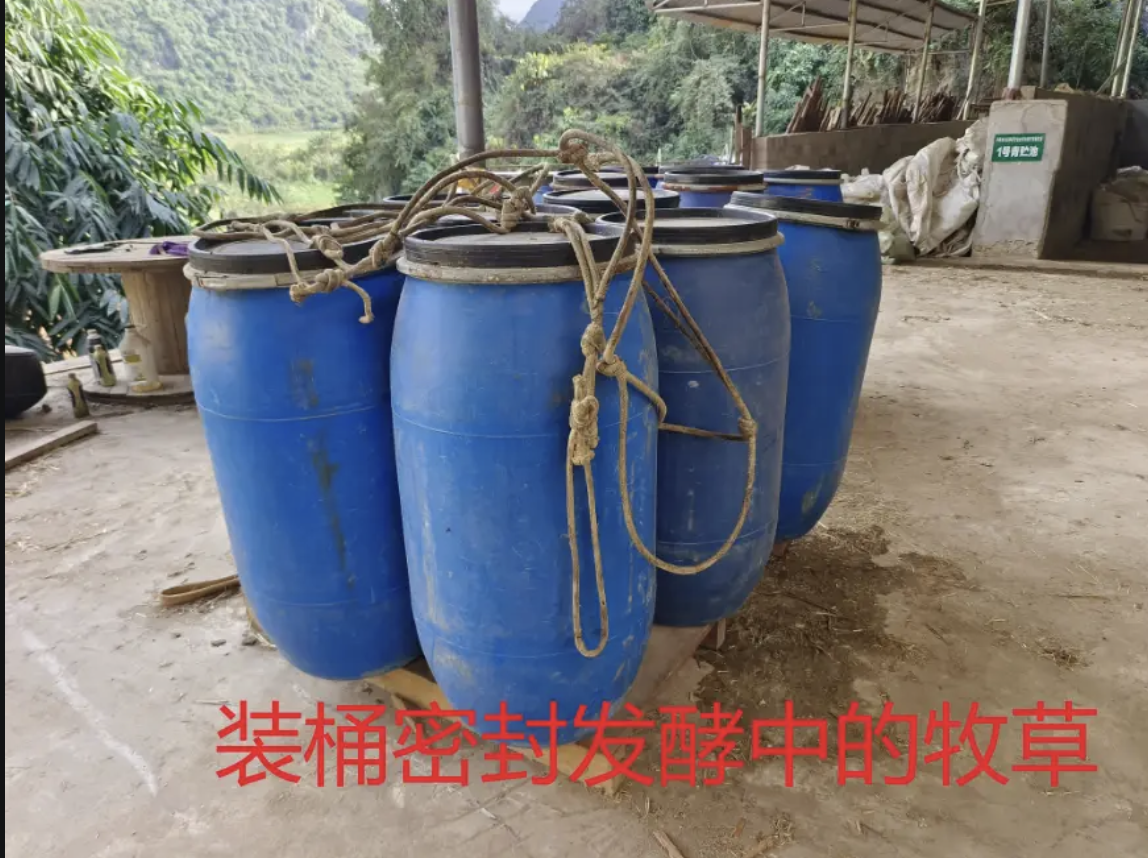 40b89755cb19815a5e94e7f96670bbe.png 40b89755cb19815a5e94e7f96670bbe.png