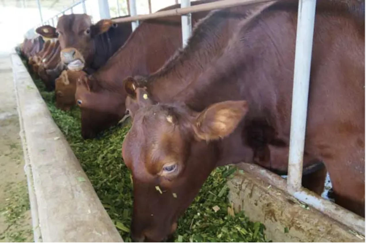 e7386fce42898aa1d3698e8f8304f7a.png e7386fce42898aa1d3698e8f8304f7a.png