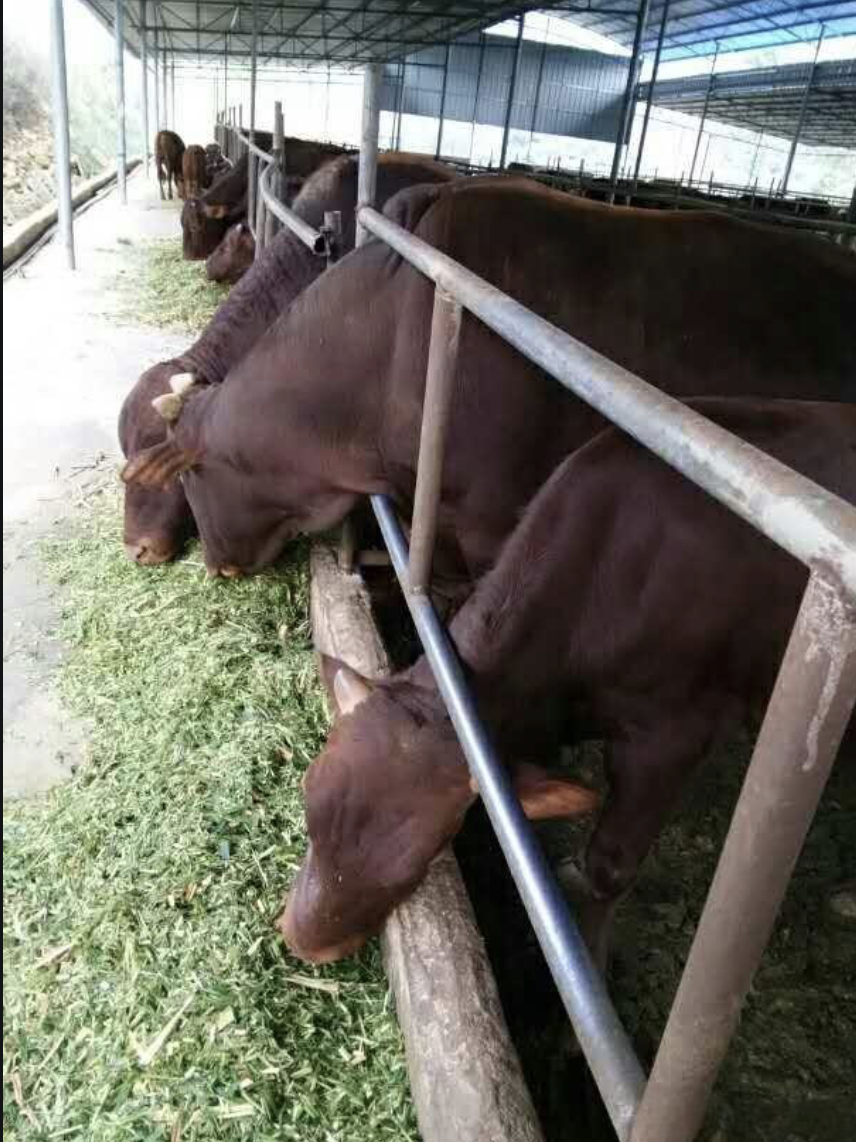 826f03b00ebf6dfb5f2398b37866d25.png 826f03b00ebf6dfb5f2398b37866d25.png