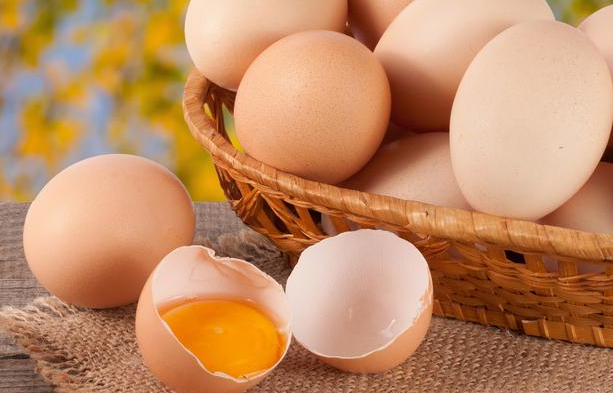 截圖20251023090745.png 截圖20251023090745.png