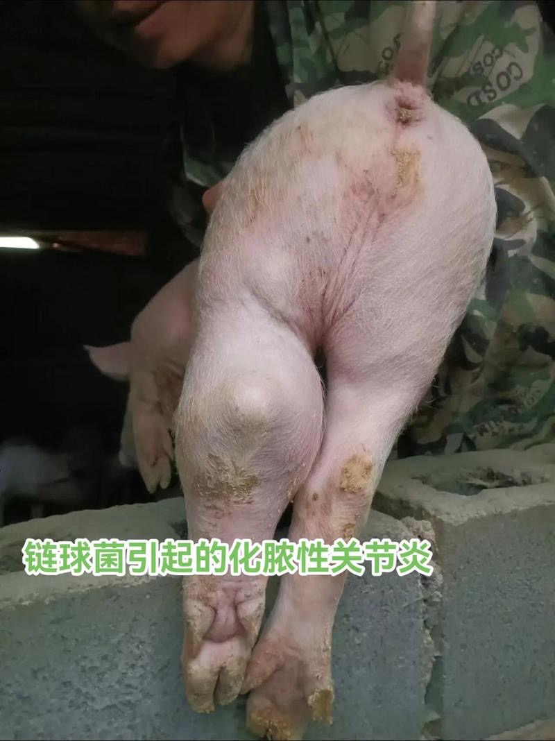 微信圖片_20251029094502.jpg 微信圖片_20251029094502.jpg