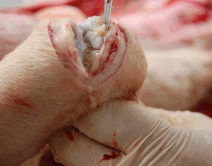 微信圖片_20251029094452.jpg 微信圖片_20251029094452.jpg