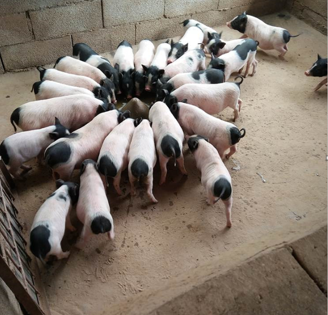 QQ圖片20230719121952.png QQ圖片20230719121952.png