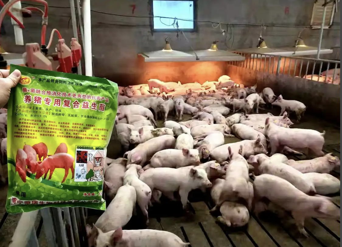 22b9cb7f-10bd-4936-8654-b72e859e101d.png 22b9cb7f-10bd-4936-8654-b72e859e101d.png