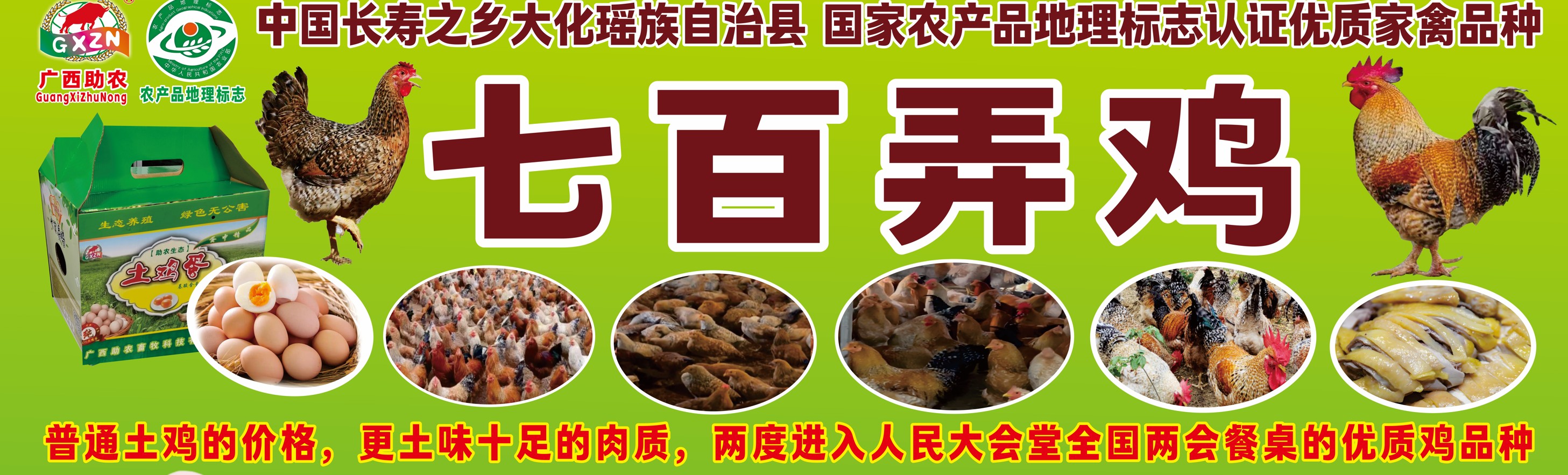 七百弄雞介紹高清.jpg 七百弄雞介紹高清.jpg